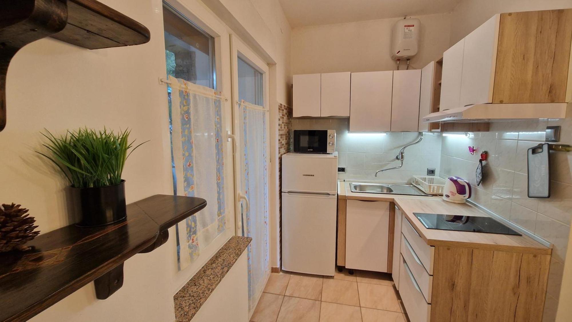 Apartman Godena